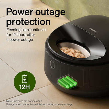 Automatic Wet Cat Feeder